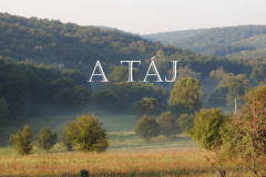 1_A-táj