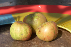 Bőralma