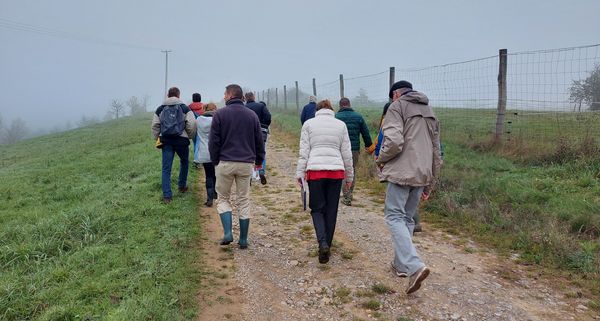 Bejegyző határozat